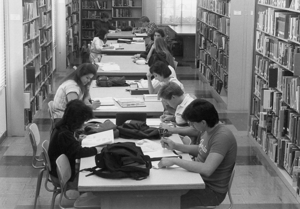 Students in library